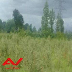 فروش زمین و ویلاهای آماده و نیمه آماده در رودسر