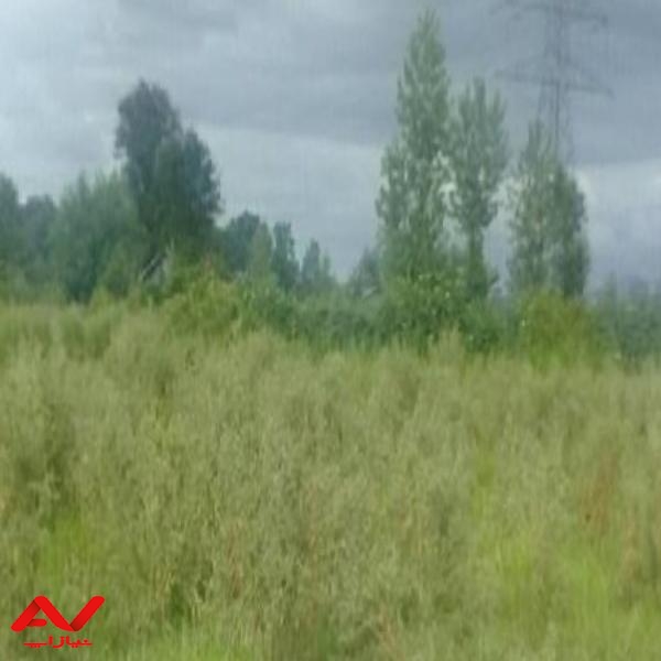 فروش زمین و ویلاهای آماده و نیمه آماده در رودسر