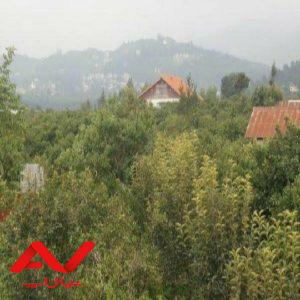 زمین واقع در کترا تنکابن
