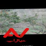 زمین هکتاری فروشی