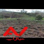 زمین هکتاری فروشی