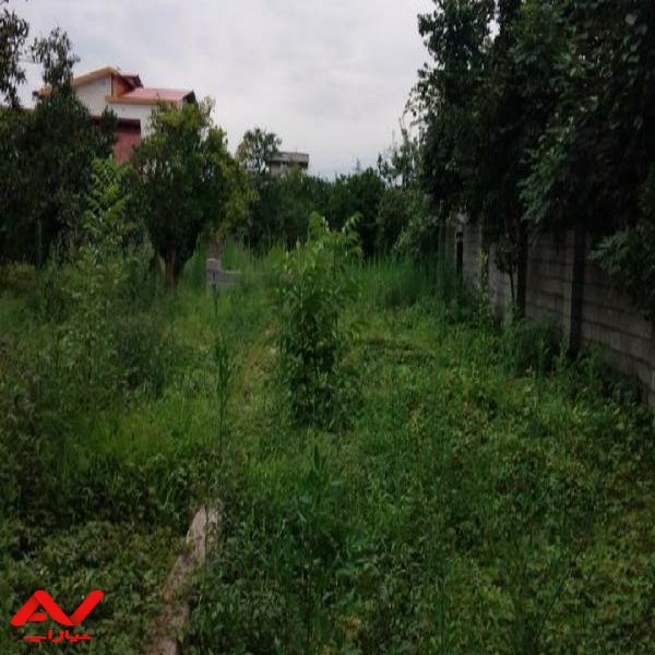 زمین فروشی بر آسفالت