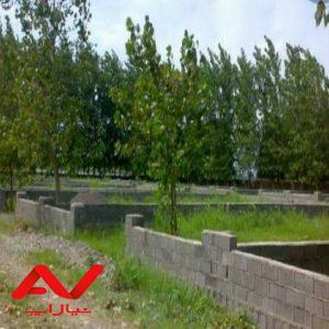 زمین مسکونی سند دار