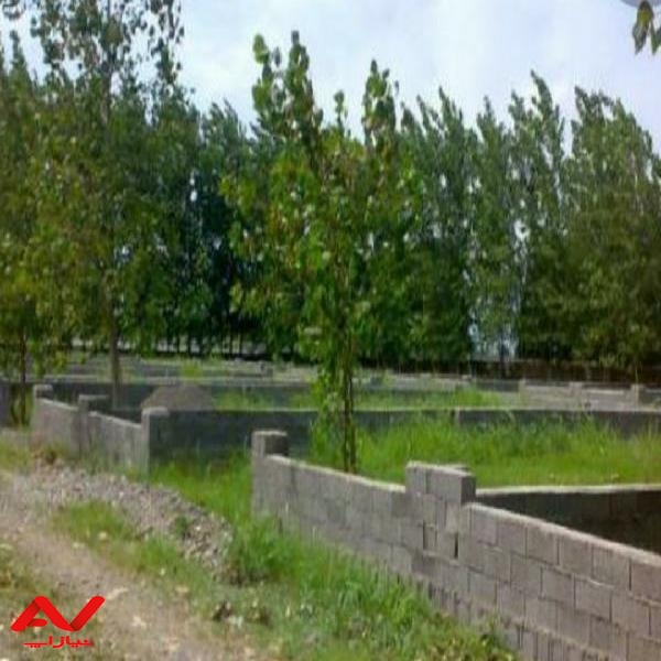 زمین مسکونی سند دار