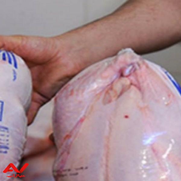 کار در فروشگاه مرغ