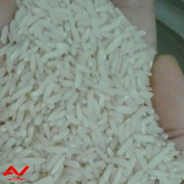 برنج درشت هاشمی اصل مجلسی