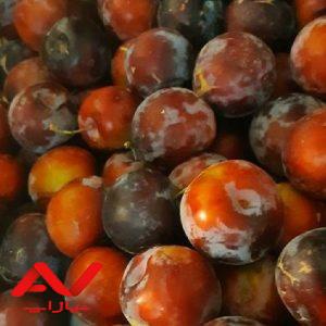 کسب و کار خانگی با درآمد ثابت