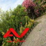 متل قو اجاره روزانه