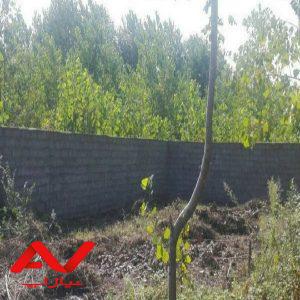 زمین فروشی در آستانه اشرفیه