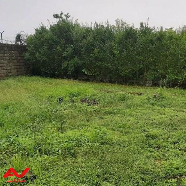 زمین ۳۵۰ متری فروشی متل قو دریا گوشه دانیال شرکتی