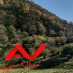 دینکوه،جنگل  بالا ماسرمک