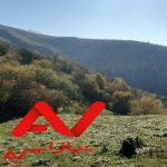 دینکوه،جنگل  بالا ماسرمک