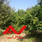 باغ مرکبات