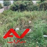 فروش زمین ۲۰۰ متری   مازندران    شهر نور