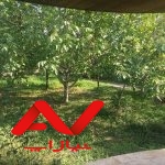 ویلا باغ  ۳ هزار متری    نور   ایزخورده