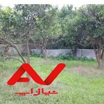 زمین داخل بافت ، ۲۰۰ متر ، امامرود (سپیده)