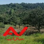 زمین با ویو زیبای جنگلی و سرسبز