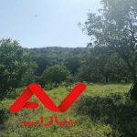 زمین با ویو زیبای جنگلی و سرسبز