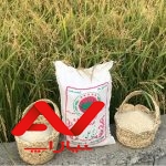 بازرگانی علی رستمی