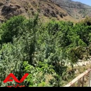 فروش زمین کشاورزی ۲۹۰۰ متر در رودهن