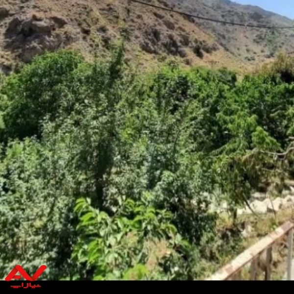 فروش زمین کشاورزی ۲۹۰۰ متر در رودهن