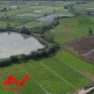 فروش زمین بصورت یکساله در تلیکسر محمودآباد