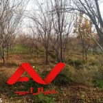 باغ ویلا بکر ،۵۰۰۰متر