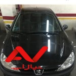 پژو 206 تیپ ۲، مدل ۱۳۸۷