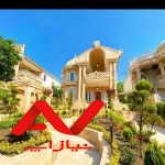 ویو ابدی جنگلی