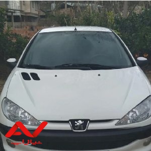 پژو ۲۰۶ تیپ ۵