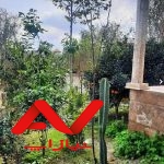 ویلا 250 متری مدرن منطقه برند