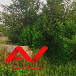 زمین زیباکنار با مدارک کامل