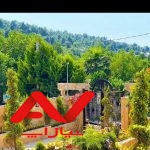 ویو ابدی جنگلی