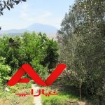 *ویلا باغ 300 متری 3 خوابه  *شمال گیلان *