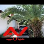فروش فوری ویلا