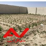 زمین باغی ۵٠٠متری -زیار-اندلان-دیوارکشی شده