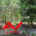 *ویلا باغ 300 متری 3 خوابه  *شمال گیلان *