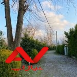 ویلا نیم پیلوت جنگلی