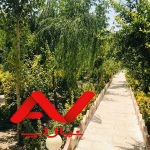 ویلا استخر دار و شیک