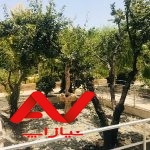 ویلا استخر دار و شیک