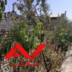 باغچه چهاردیواری