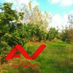 ویلا باغ