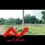 زمین کشاورزی
