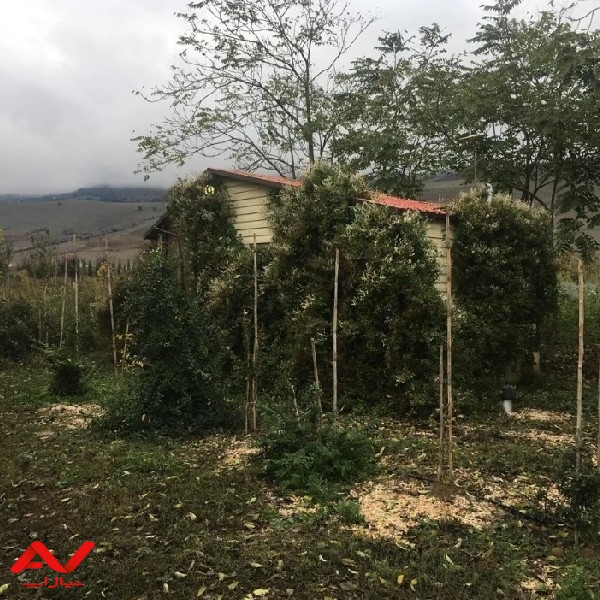 استخدام کارگر جهت کار در باغ