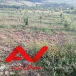 فروش باغ ۳۰۰۰متری
