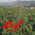 فروش زمین جای بکر