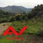 ۲۶هزار متر زمین جنگلی