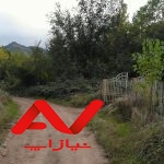 ۲۶هزار متر زمین جنگلی