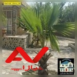 ویلا شیک