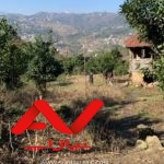 ۳۵۰۴متر زمین جای شیک و ویو ابدی